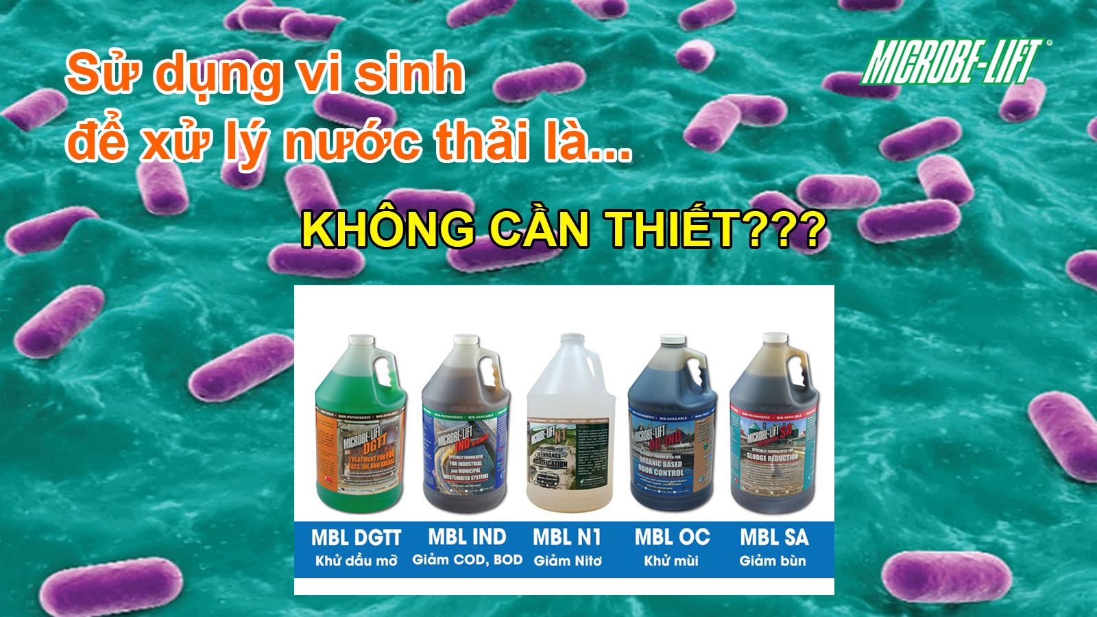 Sử dụng vi sinh xử lý nước thải là cách không cần thiết