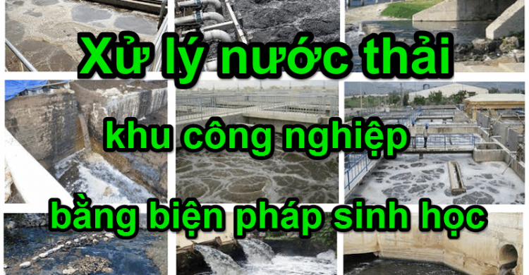 xử lý nước thải khu công nghiệp bằng biện pháp sinh học