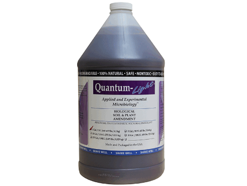 Microbe-lift Quantum Light