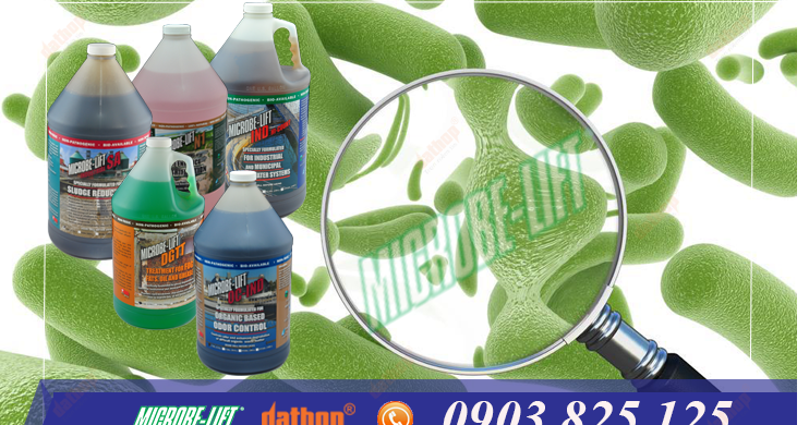 vi sinh microbe- lift