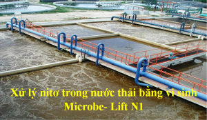 xử lý nito bằng Microbe- Lift N1