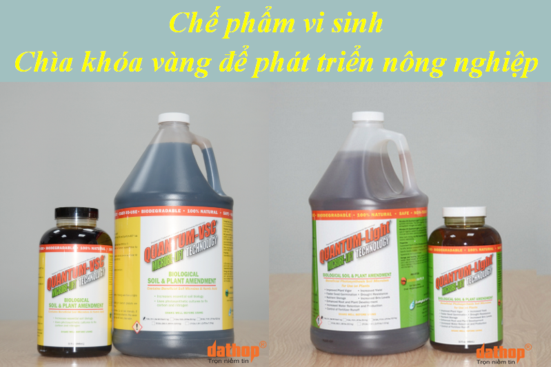 Chế phẩm vi sinh nông nghiệp