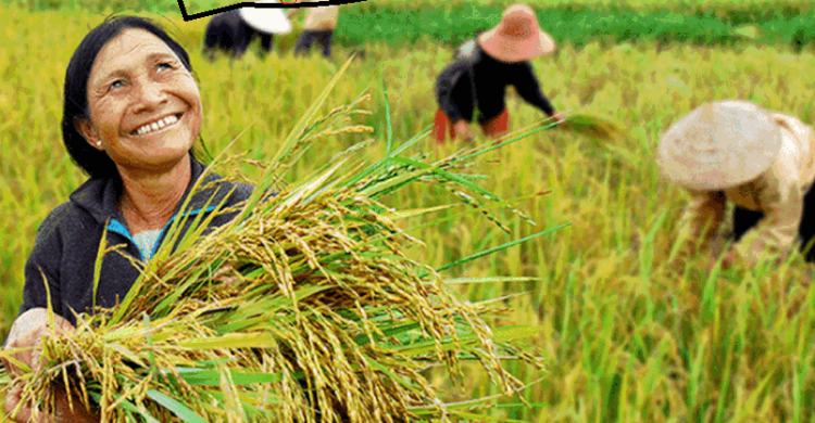 Chế phẩm vi sinh là gì
