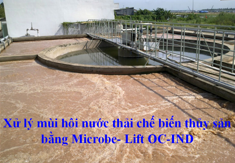 Microbe- Lift OC-IND