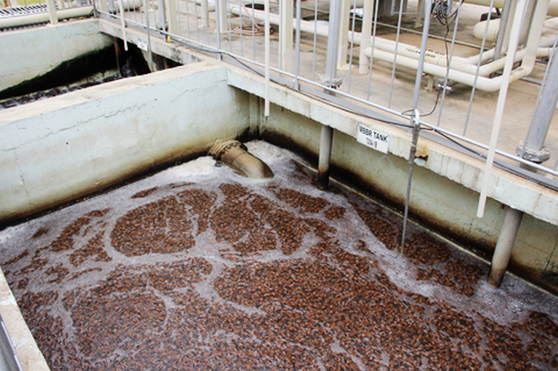 Xử lý nước thải trong sản xuất bia bằng Microbe Lift IND