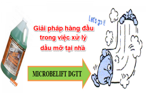 Microbe Lift DGTT: Giải pháp hàng đầu trong việc xử lý dầu mỡ tại nhà