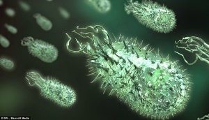 Vi sinh Microbe-Lift