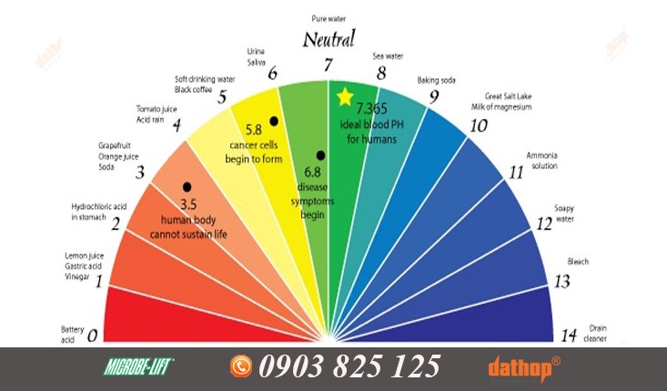 Ứng dụng của môi trường có độ pH bằng 9 trong công nghiệp và y khoa? 
