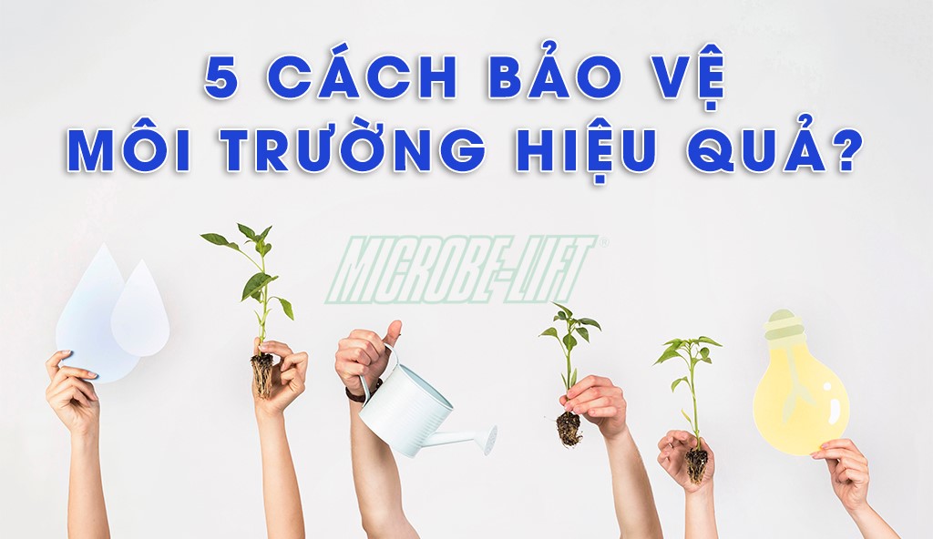 05 cách để bảo vệ môi trường hiệu quả | Microbe-Lift