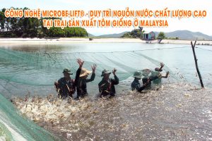 duy tri chat luong nuoc