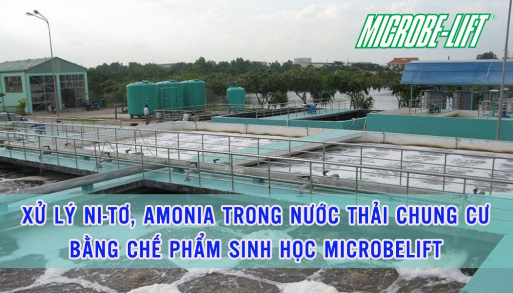 xu ly nito amoni trong nuoc thai chung cu bang che pham sinh hoc microbelift dathop