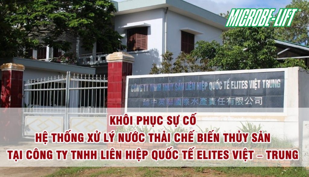 khoi phuc su co he thong xu ly nuoc thai che bien thuy san tai cong ty elites dathop