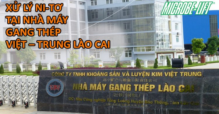 xu-ly-ni-to-xu-ly-nuoc-thai-microbelift