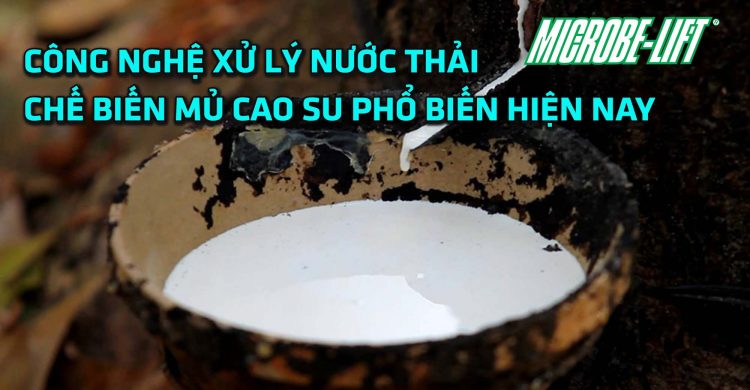 cong-nghe-xu-ly-nuoc-thai-che-bien-mu-cao-su-dathop
