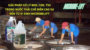 xu-ly-bod-cod-tss-trong-nuoc-thai-che-bien-cao-su-microbelift