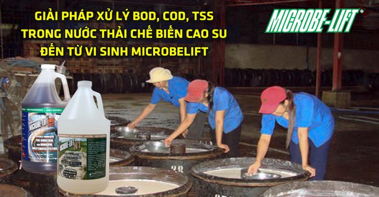 xu-ly-bod-cod-tss-trong-nuoc-thai-che-bien-cao-su-microbelift