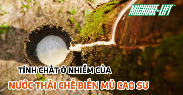 tinh-chat-o-nhiem-cua-nuoc-thai-che-bien-mu-cao-su-dathop