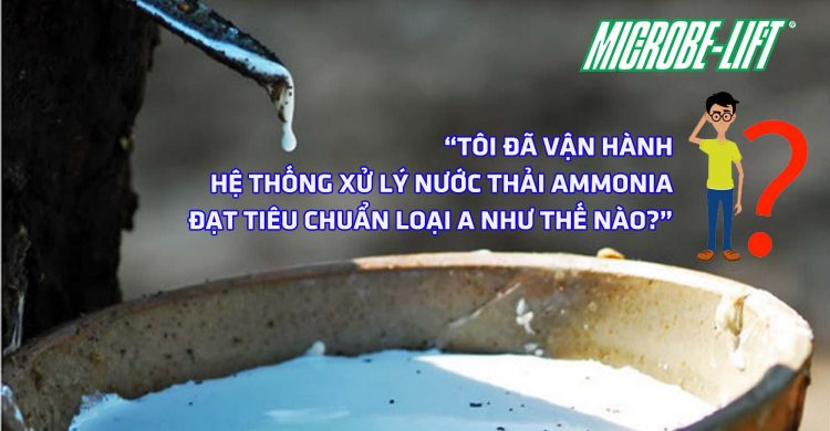 xu-ly-nuoc-thai-ammonia-microbelift