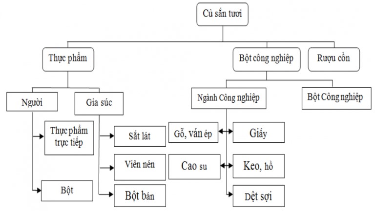 dac-trung-cua-nuoc-thai-che-bien-tinh-bot-san-02 - Microbe Lift