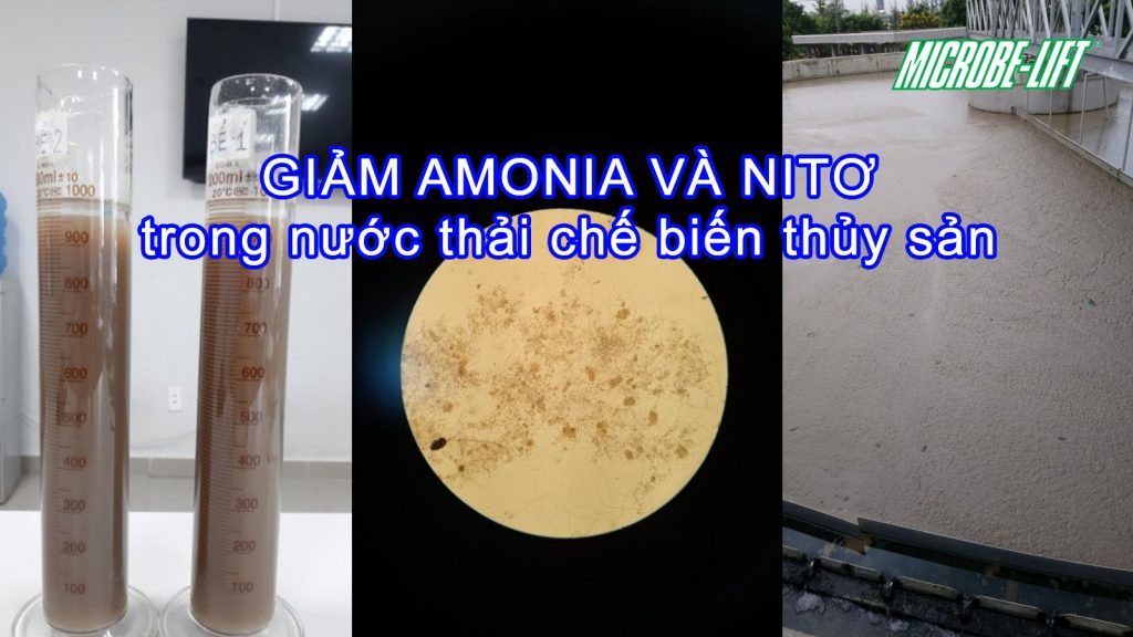 Giam Amonia trong nuoc thai thuy san