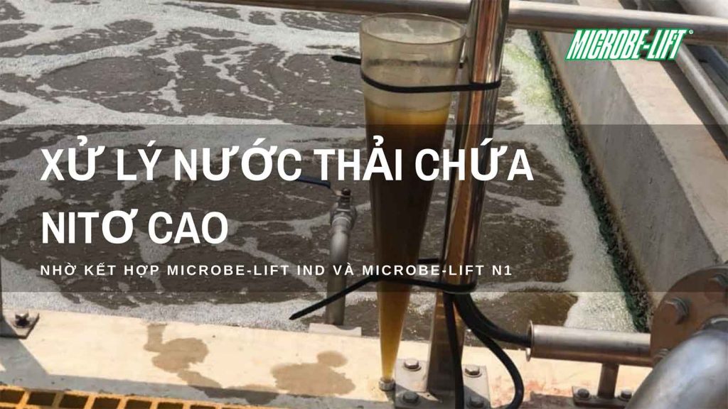 Xu ly nuoc thai chua nito cao