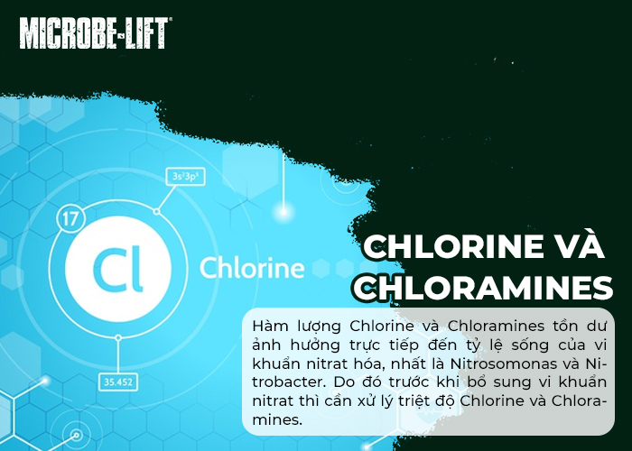 Chlorine và Chloramines