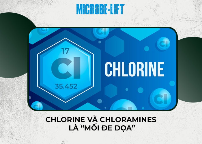 Chlorine và Chloramines là “mối đe dọa”