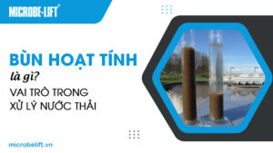 Bùn hoạt tính là gì? Vai trò trong xử lý nước thải