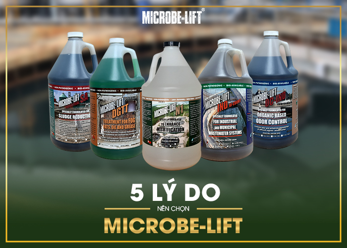 5 LÝ DO NÊN CHỌN MICROBE-LIFT xử lý nước thải sinh hoạt 1m3