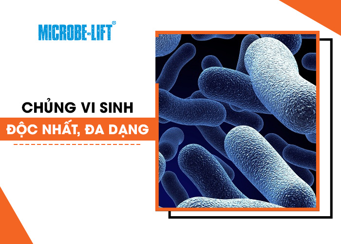 Microbe Lift là Chủng vi sinh độc nhất, đa dạng