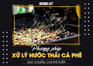 Phuong phap xu ly nuoc thai ca phe dat chuan chi phi thap 01
