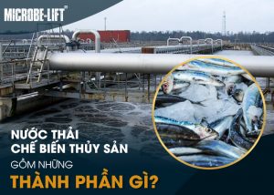 nuoc thai che bien thuy san gom nhung thanh phan gi 01