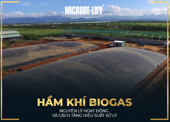 Nguyên lý hoạt động và cách tăng hiệu suất xử lý hầm biogas hiệu quả