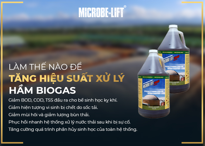 Làm thế nào để tăng hiệu suất xử lý hầm khí Biogas?