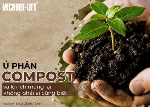 Hướng dẫn cách ủ phân Compost hiệu quả nhanh, dinh dưỡng cao