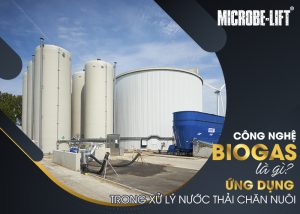 cong nghe biogas xu ly nuoc thai