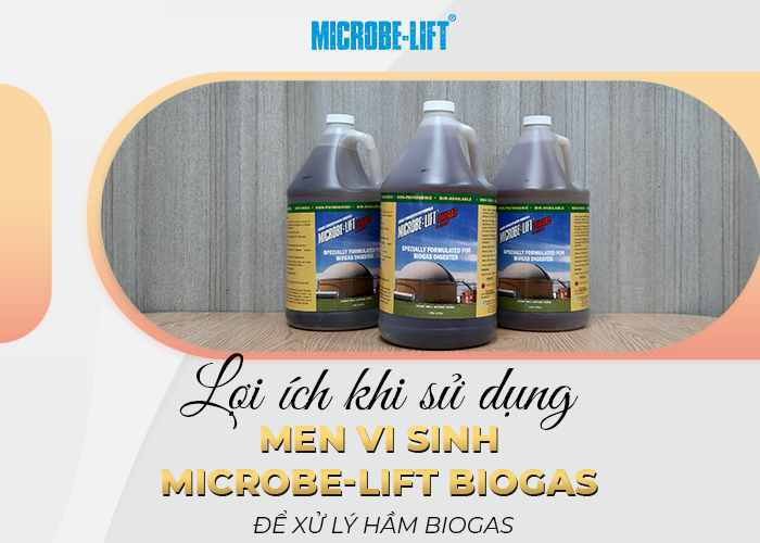 Lợi ích khi sử dụng men vi sinh Microbe-Lift BIOGAS để xử lý hầm Biogas