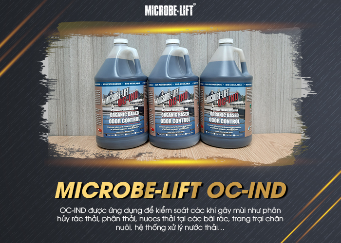 Vi sinh vật xử lý nước thải là gì? Quy trình xử lý và ứng dụng 4 MICROBE-LIFT IND