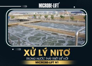 Xu ly Nito trong nuoc thai triet de voi Microbe Lift N1 01