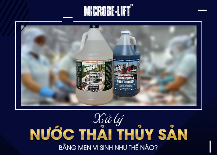 Xử lý nước thải thủy sản hiệu quả sau 2-4 tuần bằng men vi sinh 3 Xử lý nước thải thủy sản bằng men vi sinh