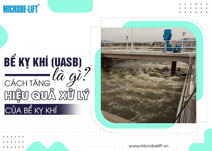 Bể kỵ khí (UASB) là gì? Cách tăng hiệu quả xử lý của bể kỵ khí 1 Be ky khi UASB 01