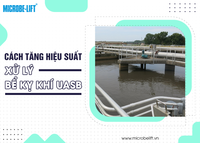Bể kỵ khí (UASB) là gì? Cách tăng hiệu quả xử lý của bể kỵ khí 3 Cách tăng hiệu suất xử lý bể kỵ khí UASB