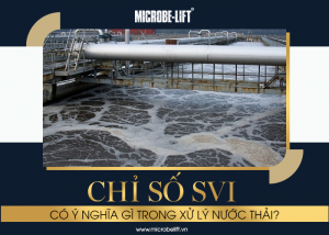 Chỉ số SVI có ý nghĩa gì trong xử lý nước thải?