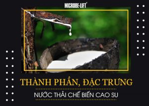 Thanh phan dac trung nuoc thai che bien cao su 01