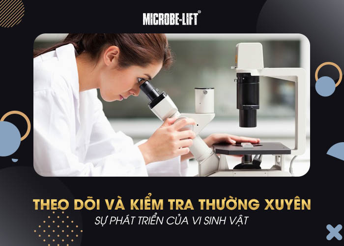 Theo dõi và kiểm tra thường xuyên sự phát triển của vi sinh vật