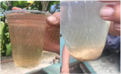 Hình ảnh nước thải những ngày đầu tiên nuôi cấy men vi sinh Microbe-Lift IND