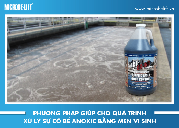 Phương pháp giúp cho quá trình xử lý sự cố bể Anoxic bằng men vi sinh