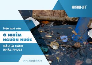 Hau qua cua o nhiem nguon nuoc dau la cach khac phuc 1