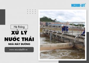 Hệ thống xử lý nước thải nhà máy đường