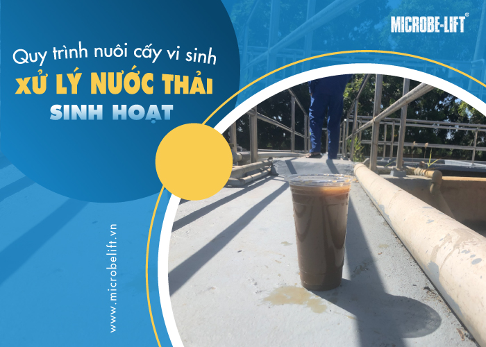 nuoi cay vi sinh xu ly nuoc thai sinh hoat 1 1